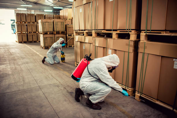 Best Pest Control Near Me  in Clawson, MI