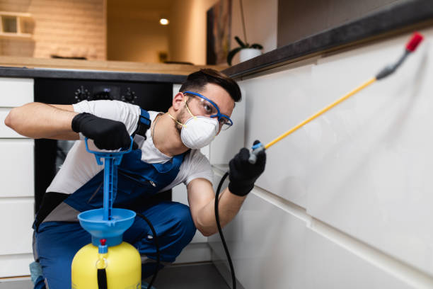Best Bed Bug Extermination  in Clawson, MI