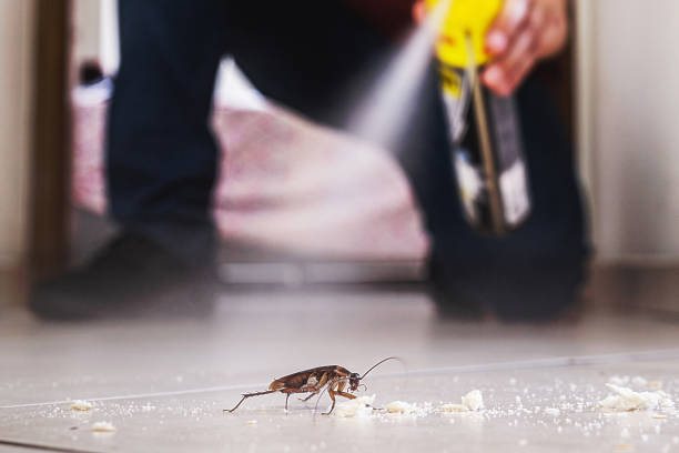 Professional Pest Control in Clawson, MI